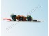 Драйвер светодиода LD 1x20W (600mA) 12-24V